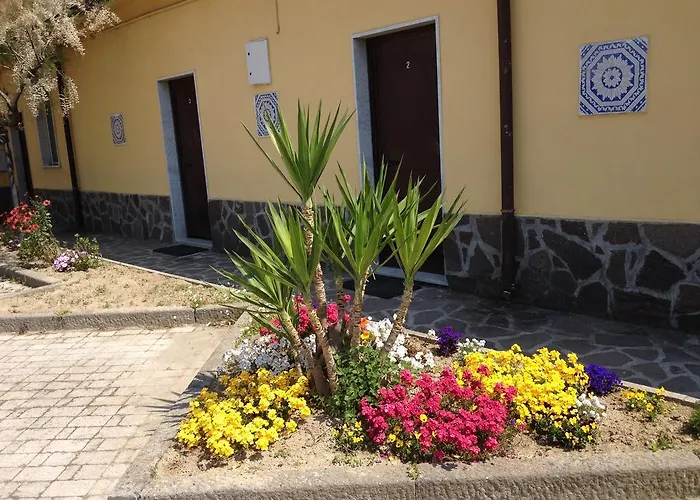 Ambra 马里内拉迪萨尔扎纳